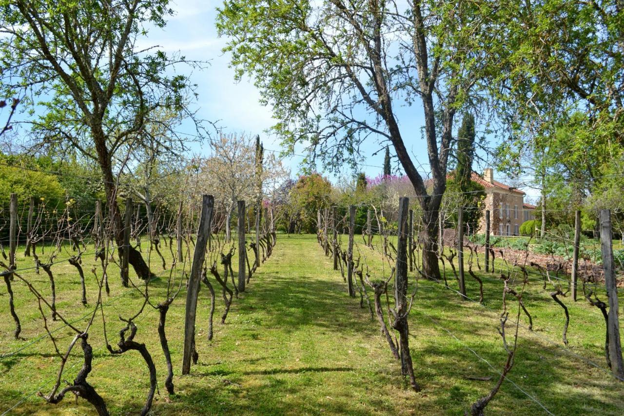Chambre D'Hote Au Domaine Terre De Chenes Saint-Paul-de-Baise Ngoại thất bức ảnh